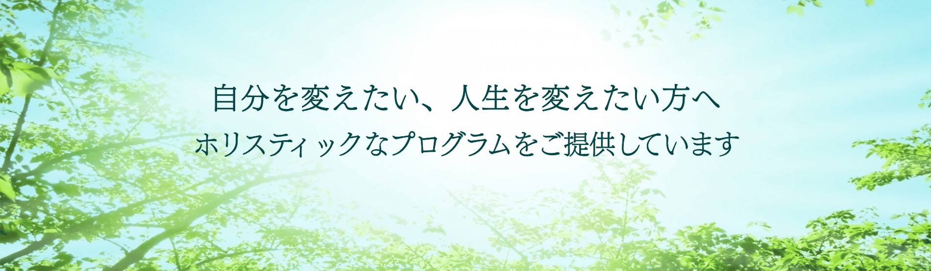自分を変えたい人生を変えたい方へ。ホリスティックなプログラムをご提供しています。
